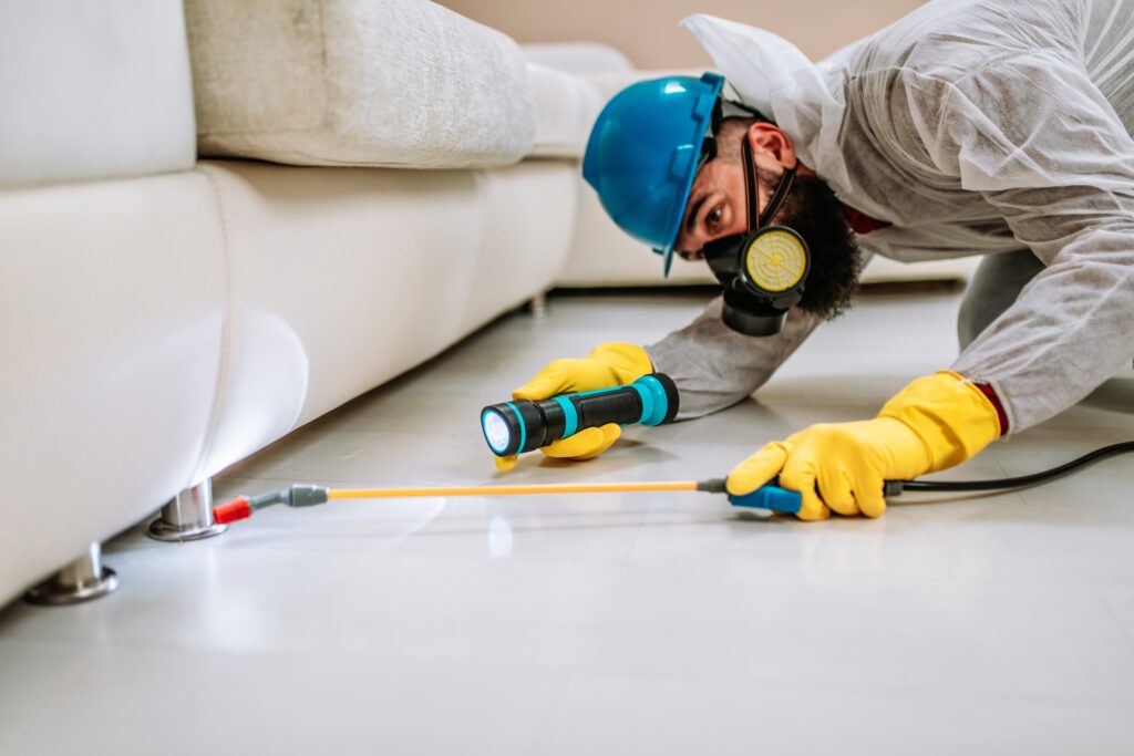 Paramount Termite Control